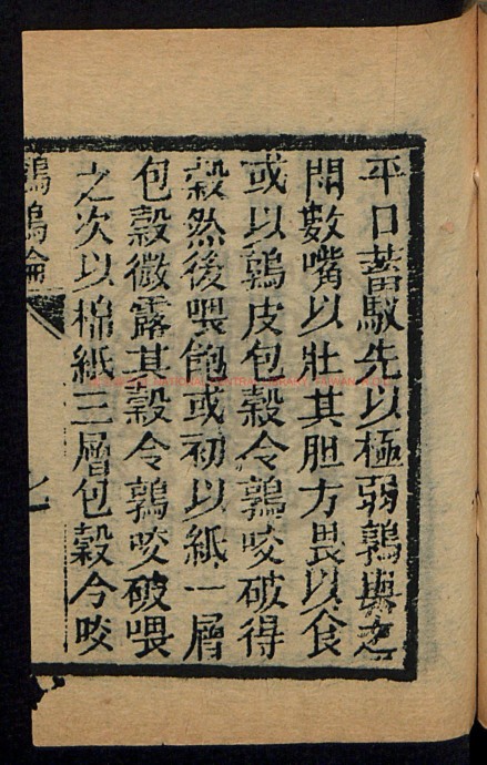 鹌鹑论·书影1