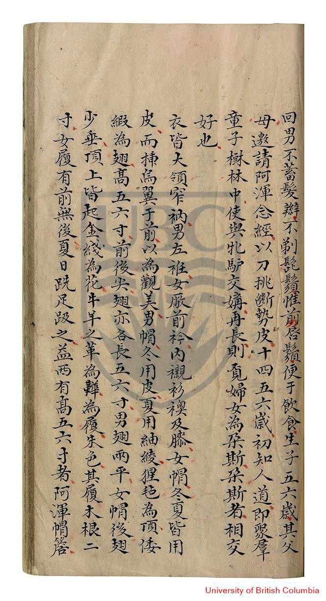 新疆纪略·书影2